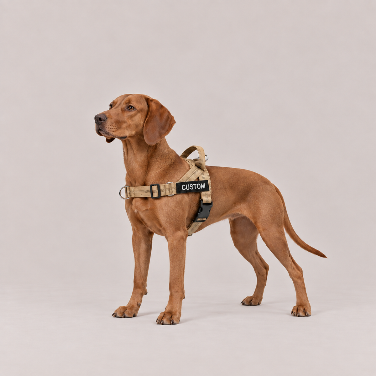 Khaki, General