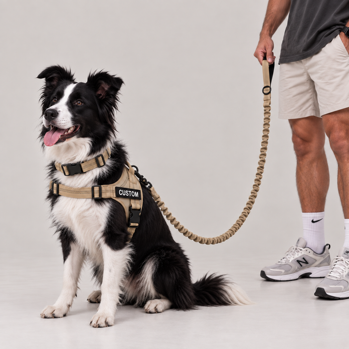 Khaki, General
