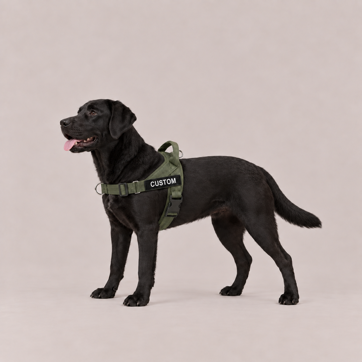 Army Green, General