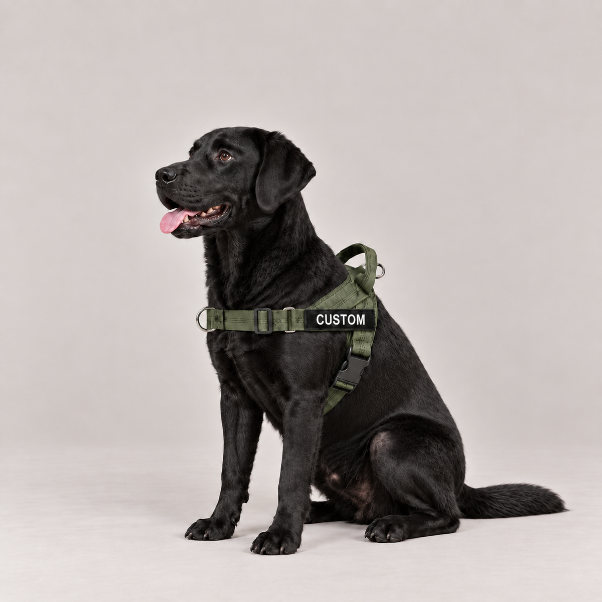 Army Green, General
